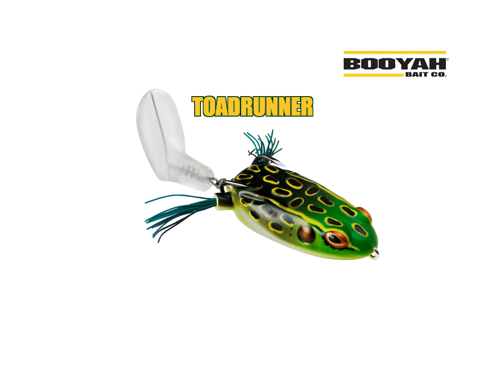 Booyah Toadrunner – o broasca careia i-a crescut o coada 